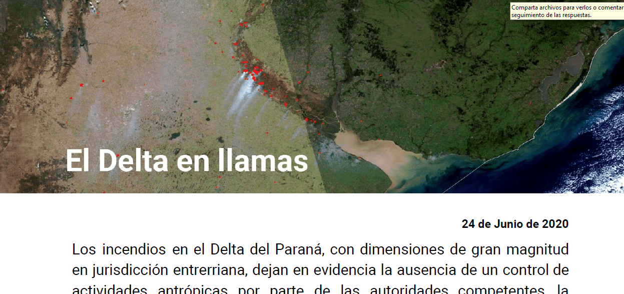 El Delta en llamas: Documento de organizaciones